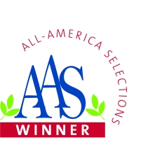 all-america  selections logo