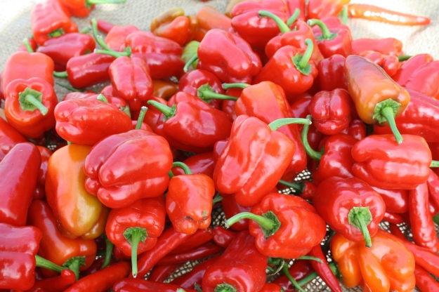 cajun belle peppers