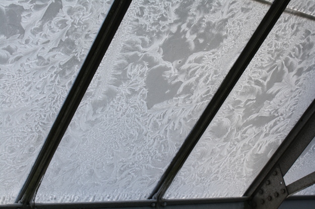 frost on glass in conservatory